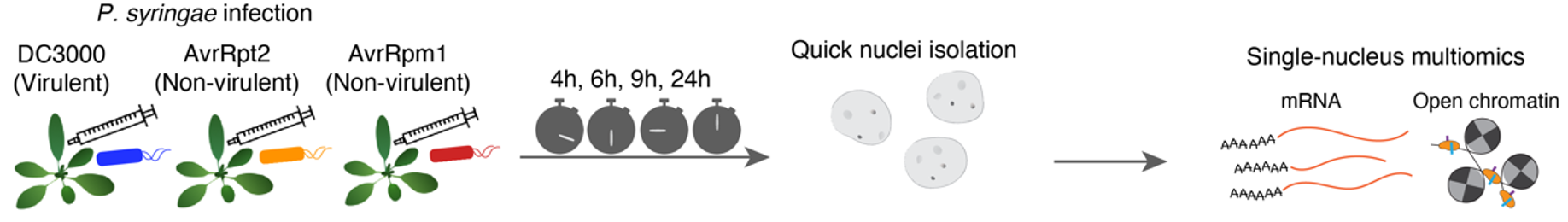 Seq Protocol Image